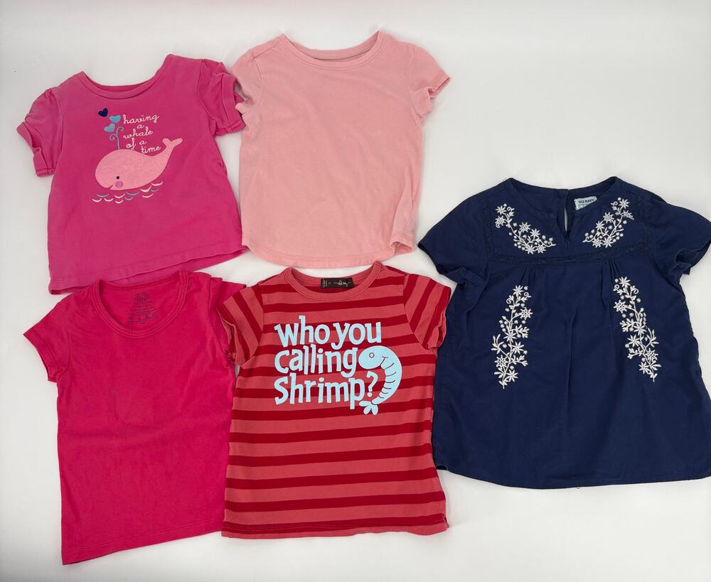 Girls 2T Shirt Lot of 5 Tees Mixed Brands